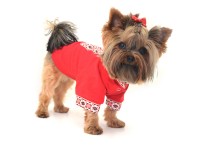 Сорочка Вишиванка для собак  червона міні 21х27 см